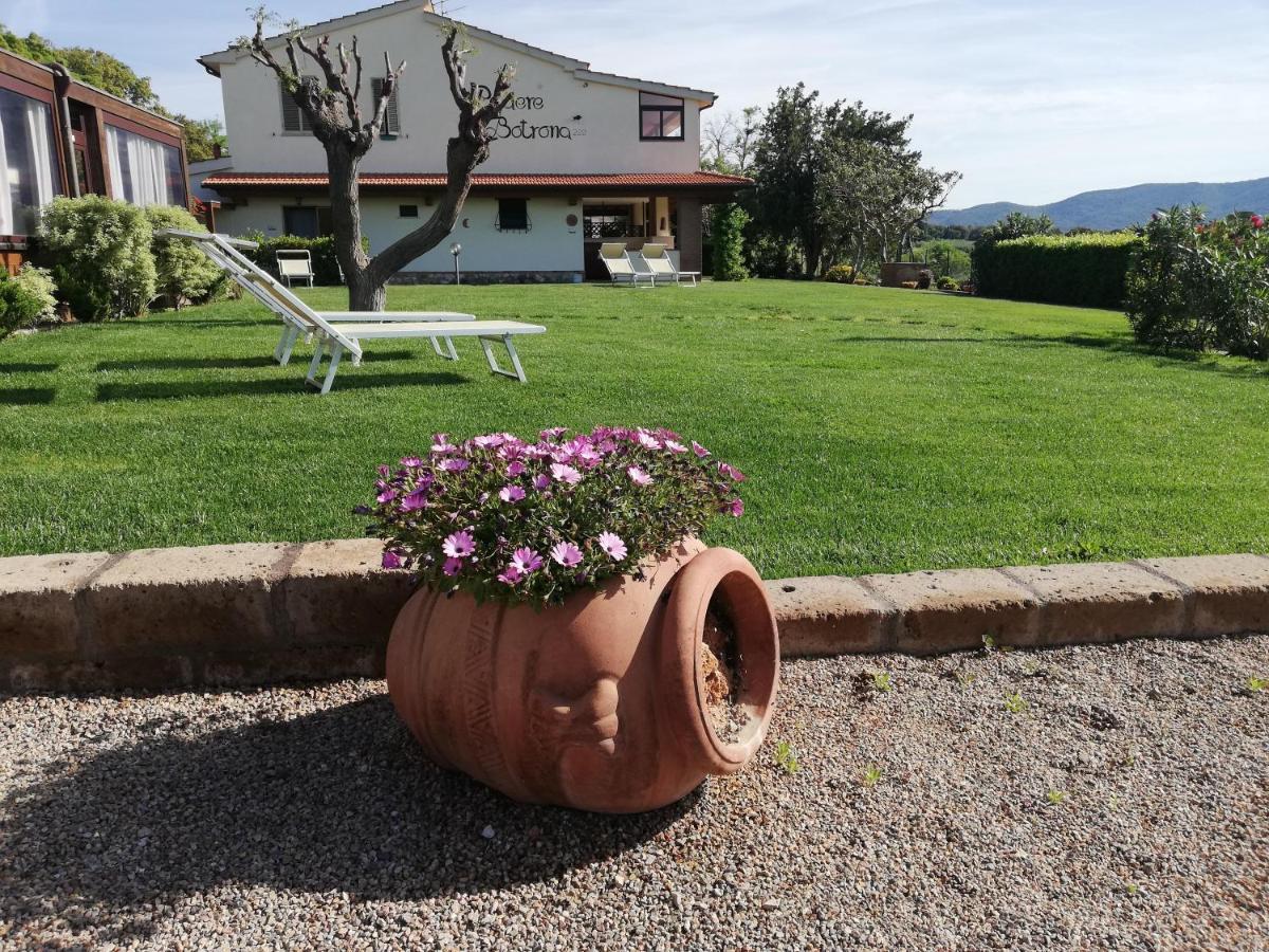 Agriturismo Diaccia Botrona Castiglione della Pescaia Exterior foto