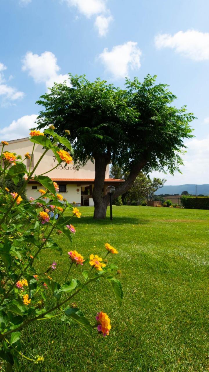 Agriturismo Diaccia Botrona Castiglione della Pescaia Exterior foto