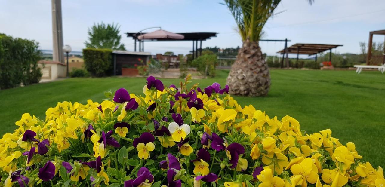 Agriturismo Diaccia Botrona Castiglione della Pescaia Exterior foto